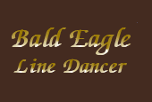 Logo bald-eagle